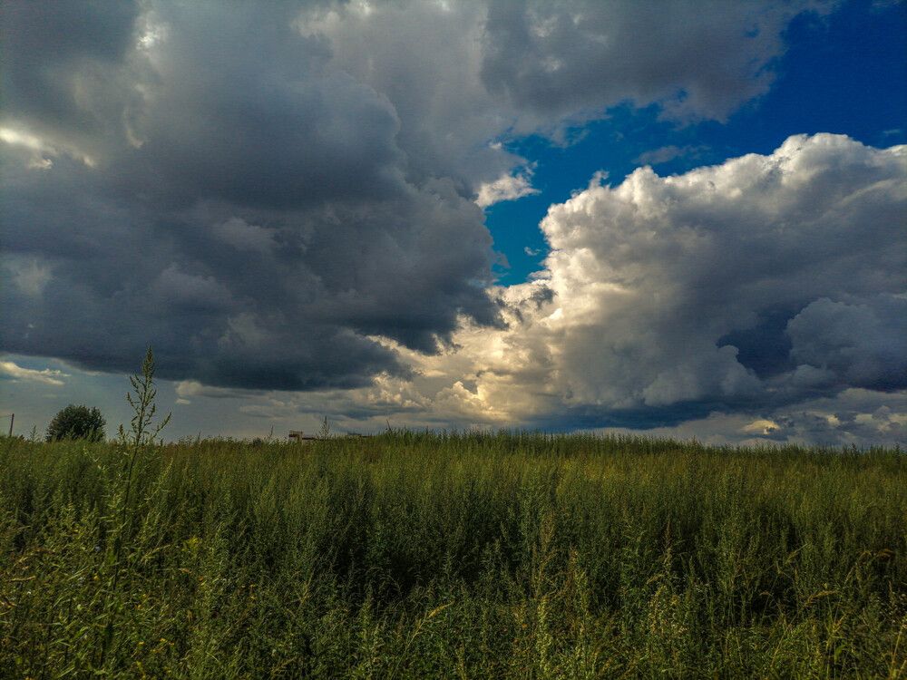 Photograph by Антон Чаузов