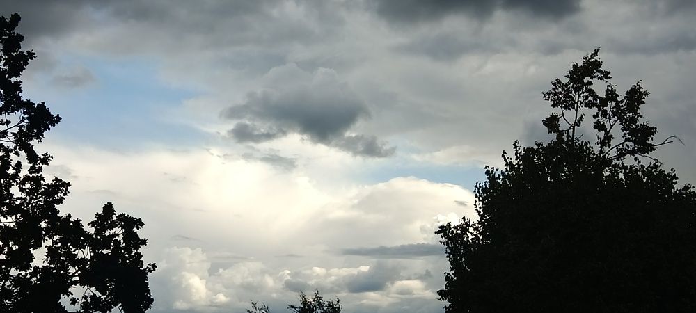 Photograph by Mishel Photographer