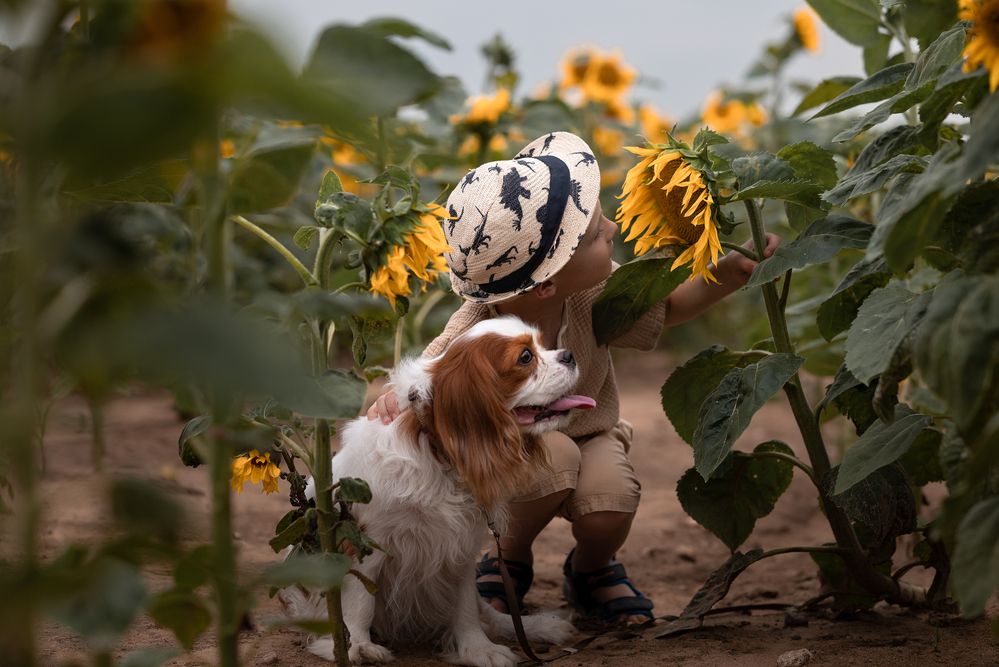 Photograph by Кончакова Дарья