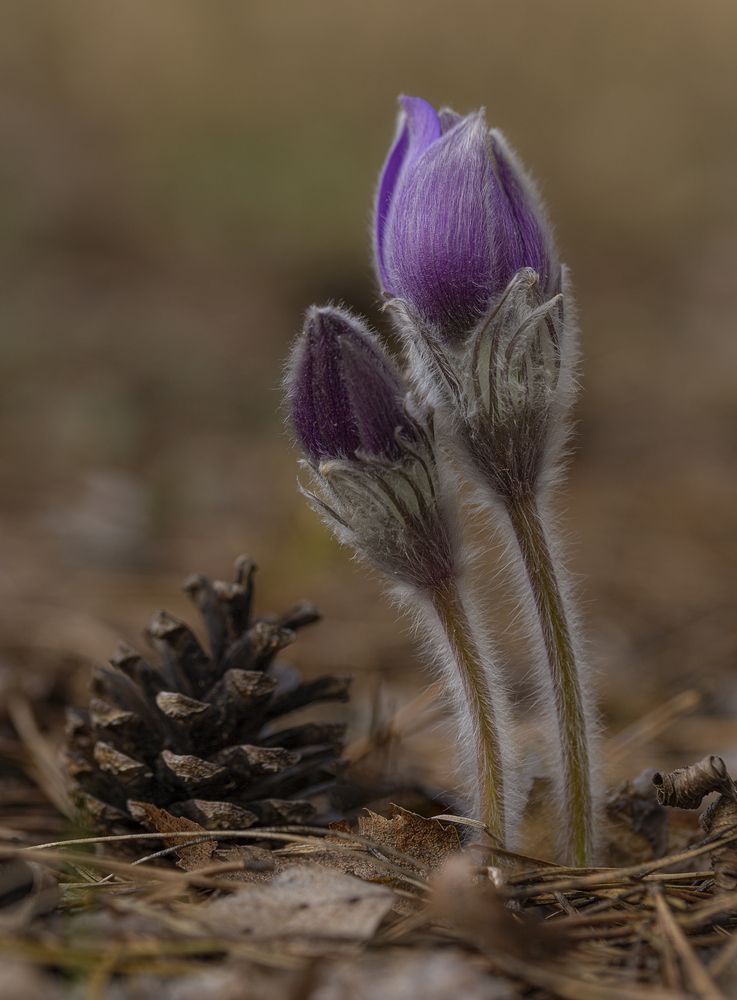 Photograph by Leanid Kulpo