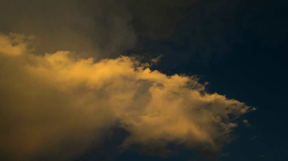 Photo #12500065