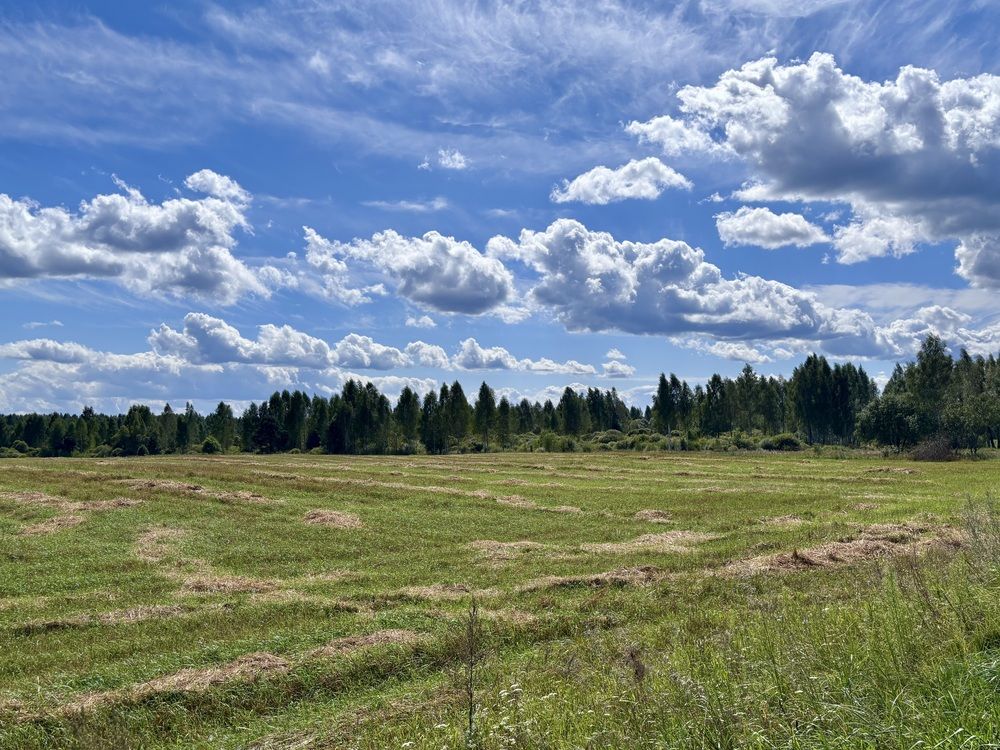 Photograph by Halina Mitsevich