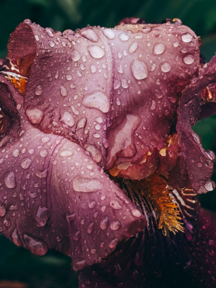 Фотография автора Liidia Klemmer