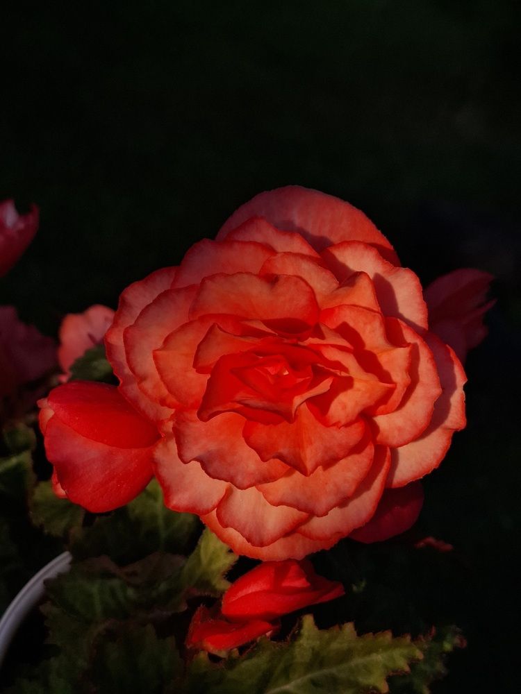 Photograph by Катерина Солдатова