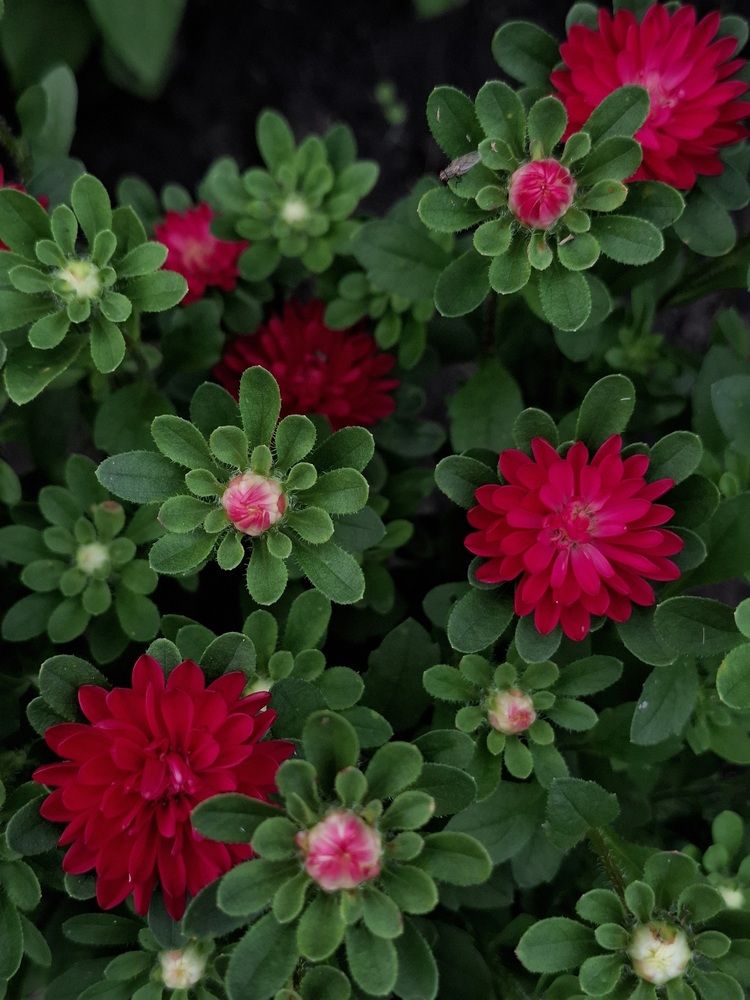 Photograph by Катерина Солдатова