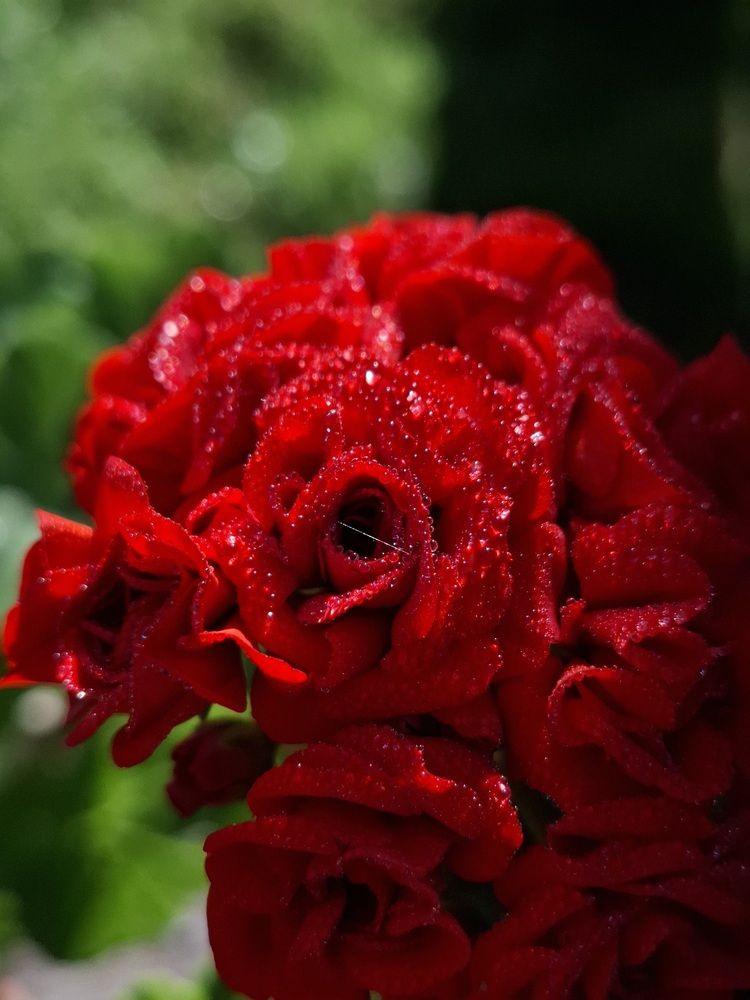 Photograph by Катерина Солдатова