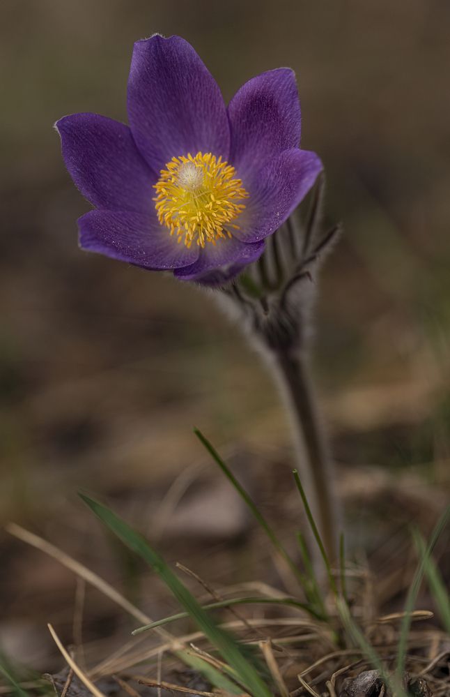 Photograph by Leanid Kulpo