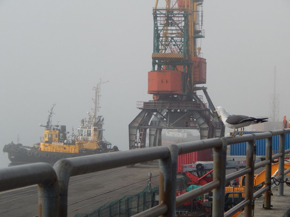 Работа в порту в туман.