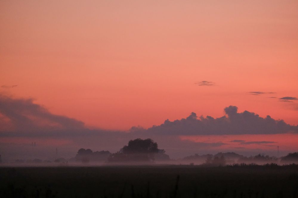 Фотография автора Александр Высоцкий