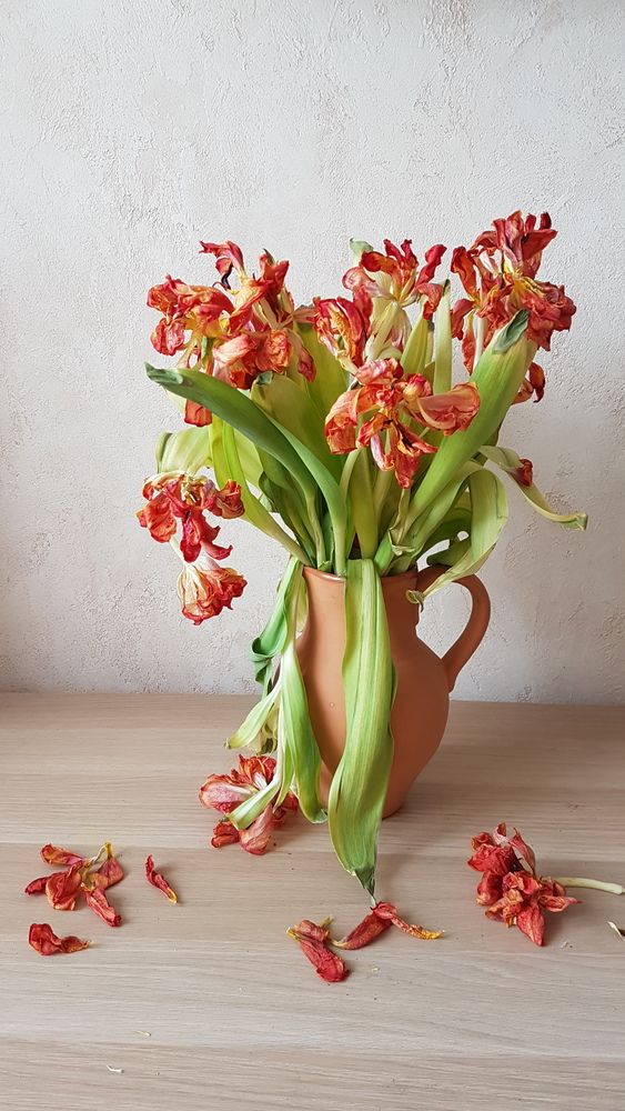 Photograph by Елена Онофрийчук