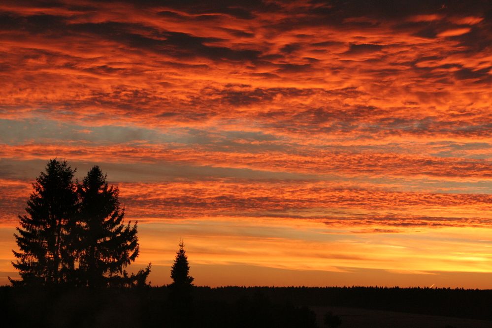 Photograph by Марина