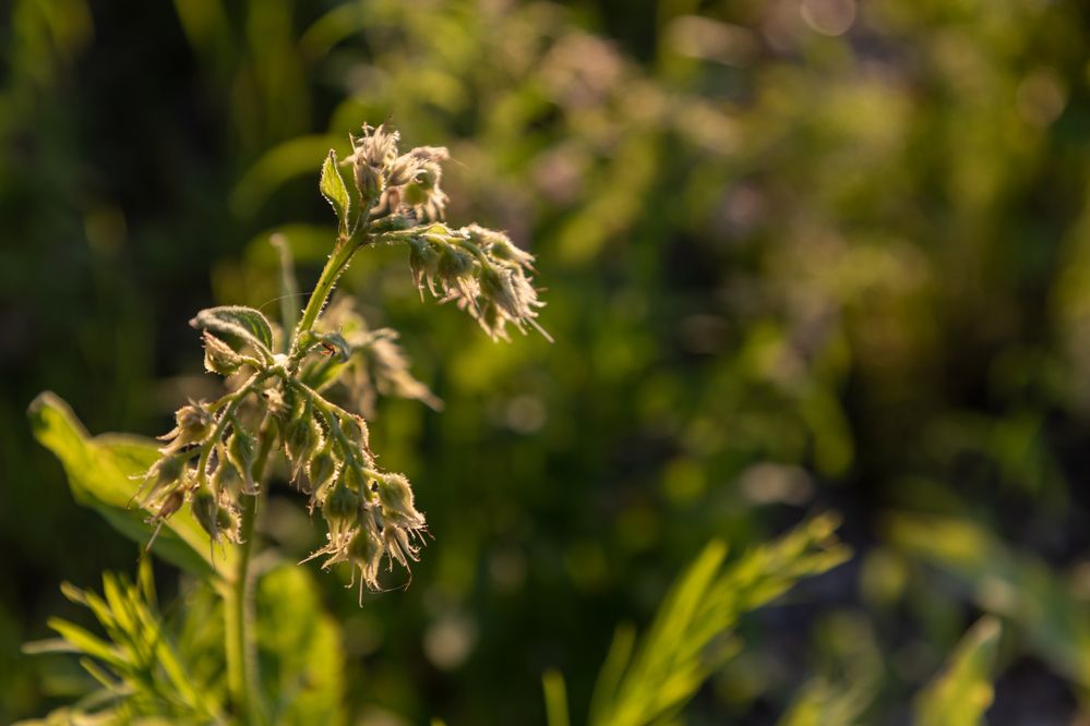 Photograph by Гузева Татьяна