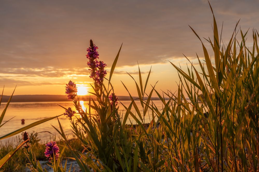 Photograph by Гузева Татьяна