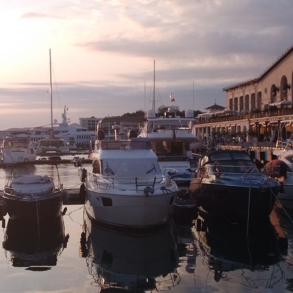 Photograph by Васильева Львовна