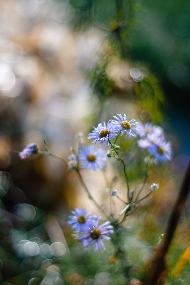 Photograph by Ника Прокопенко