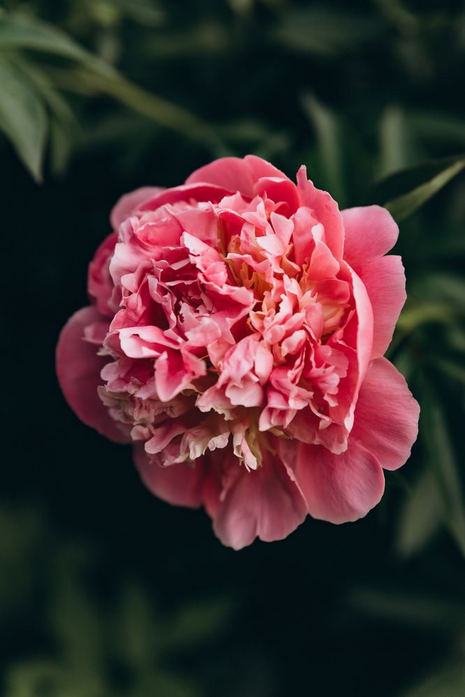 Photograph by Екатерина Будакова