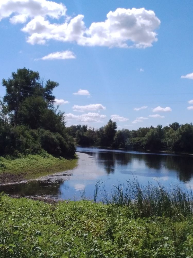 Photograph by Васильева Львовна