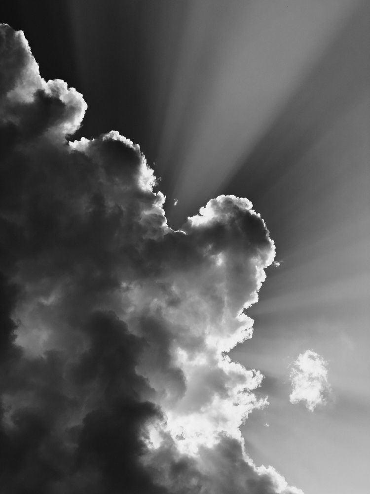 Photograph by Алиса Нежинская