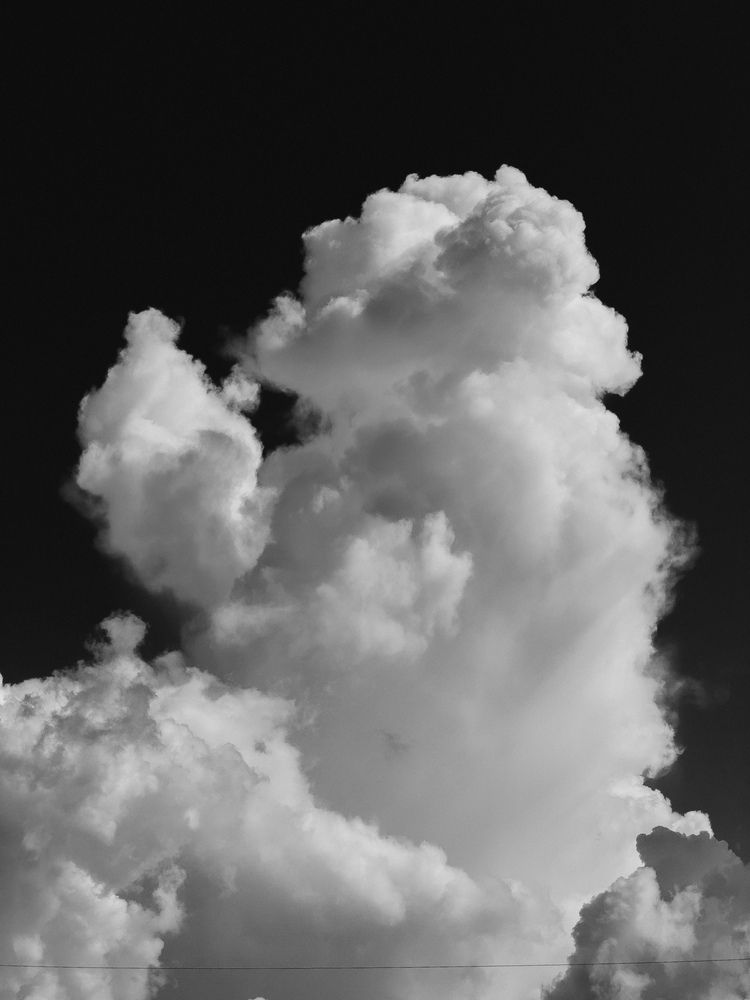 Photograph by Алиса Нежинская