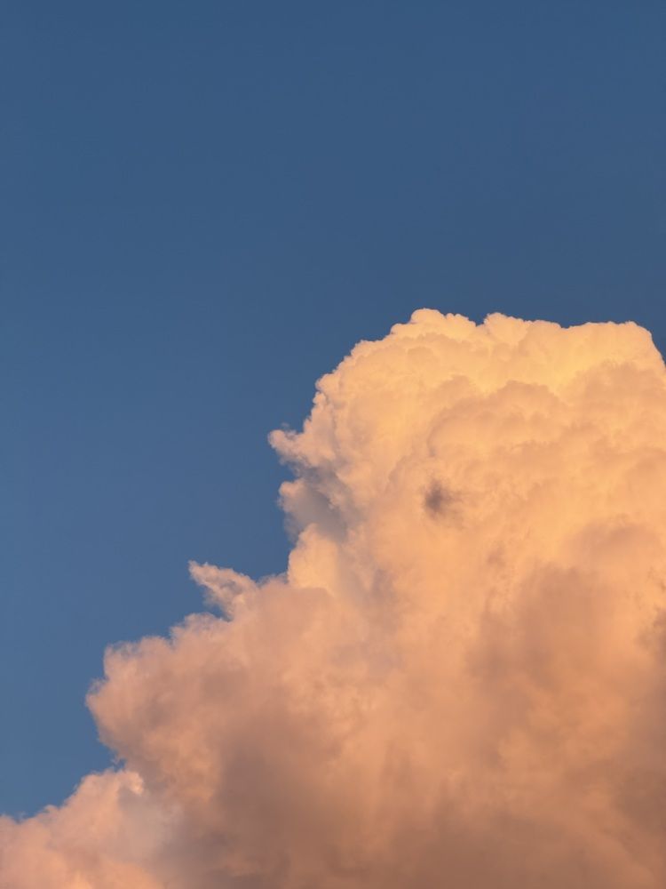 Photograph by Анна Пигулевская