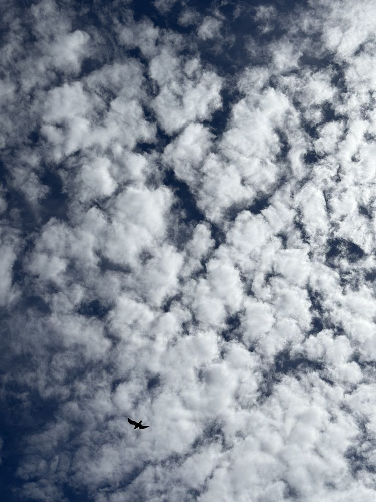 Photograph by Анна Пигулевская