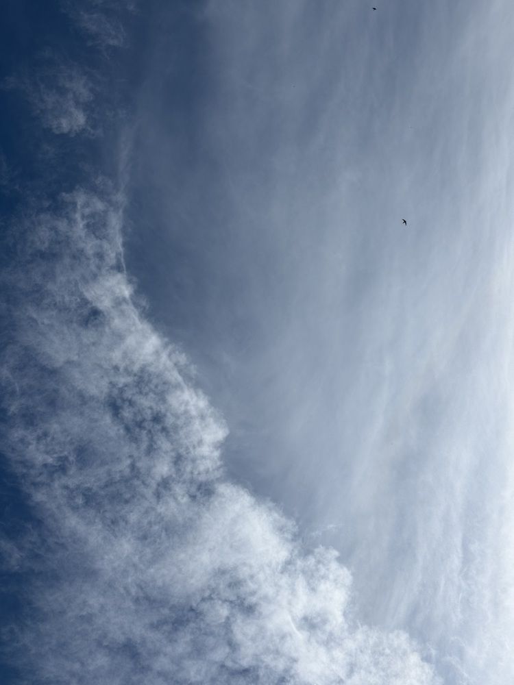 Photograph by Анна Пигулевская