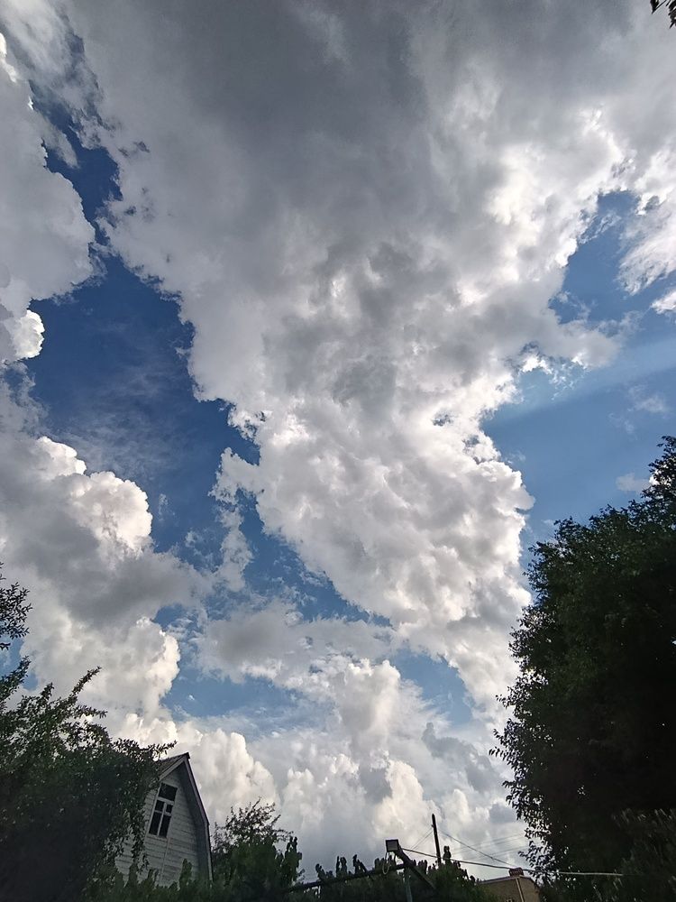 Photograph by Фаина Мирошниченко