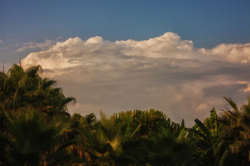 Фотография автора Милорадов Илья