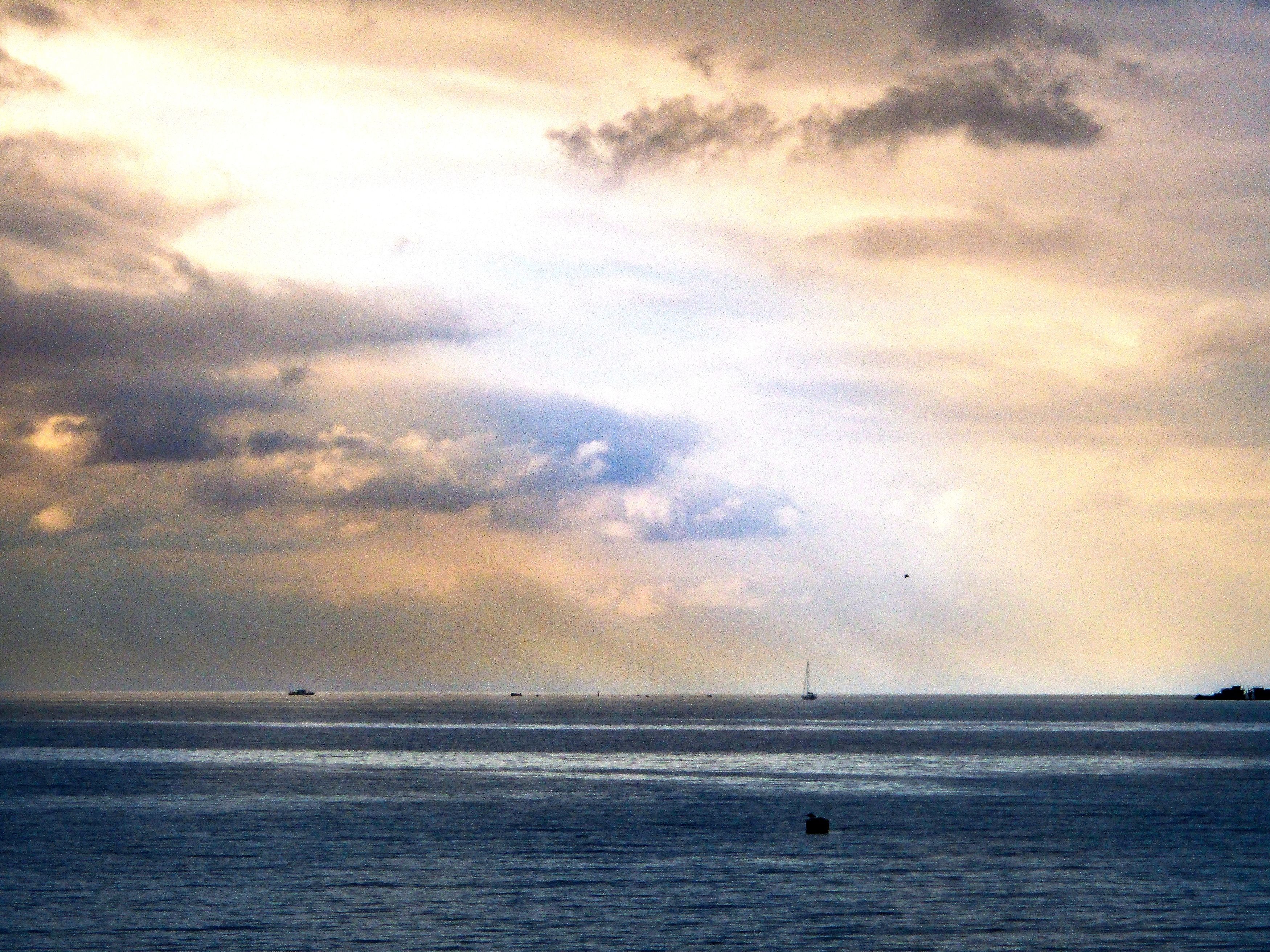 Фотография автора Еремеева Лада