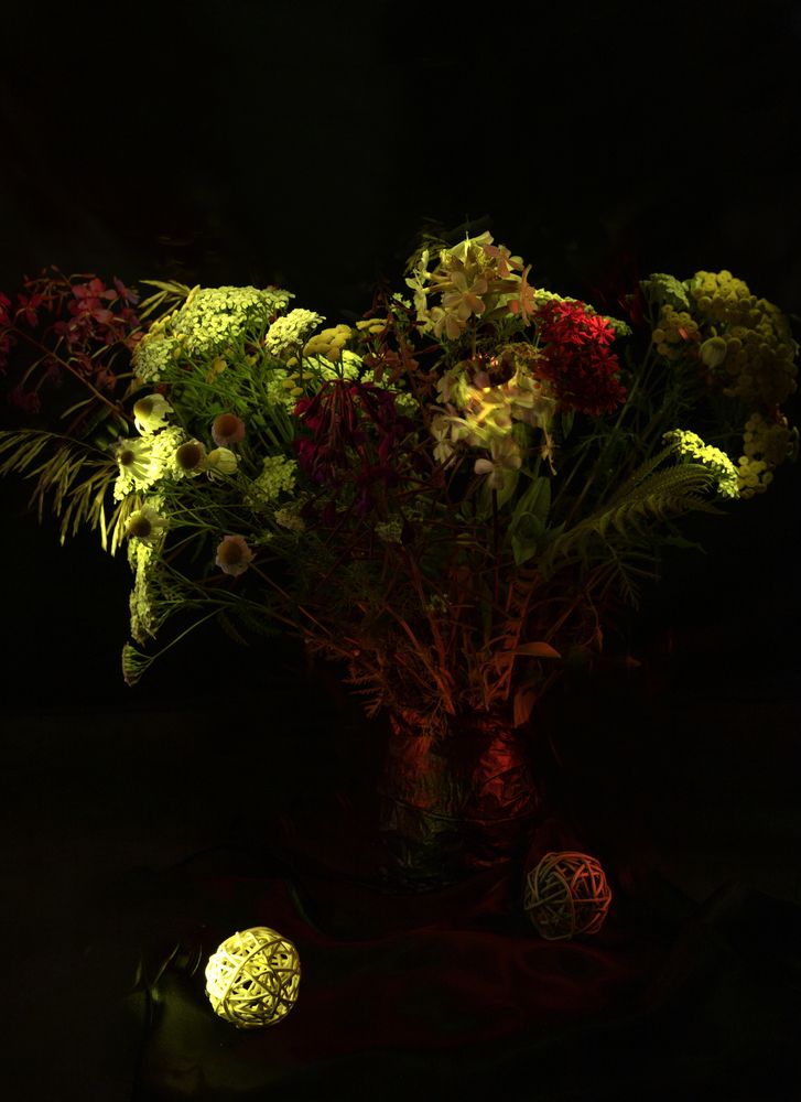 Photograph by Елена Шишкина