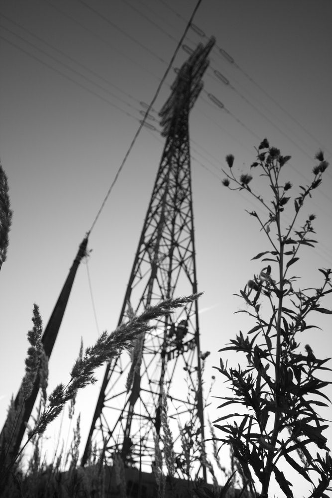 Photograph by Андрей Юдин