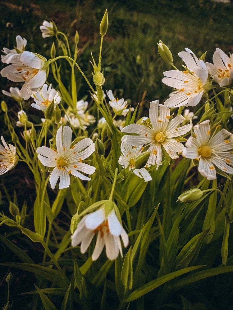 Photograph by Марина Харитонова