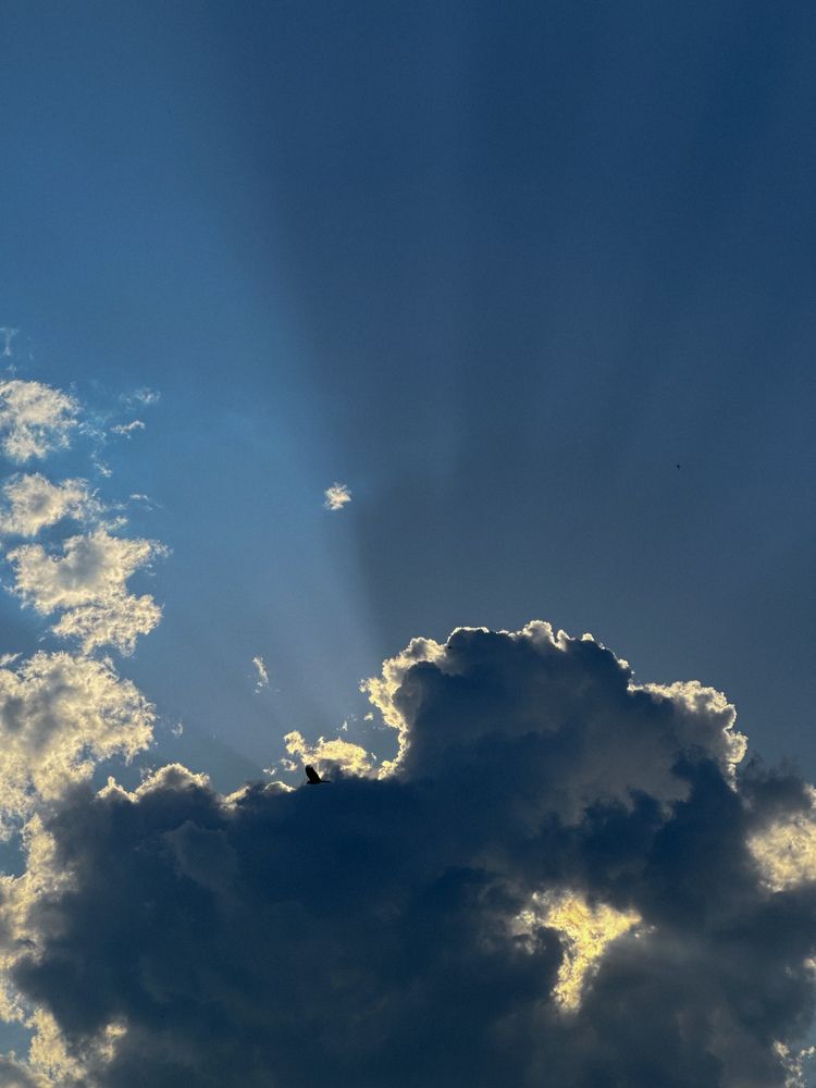 Фотография автора Анастасия