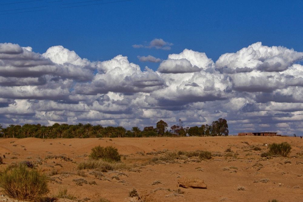Photograph by Azzeddine Memmou