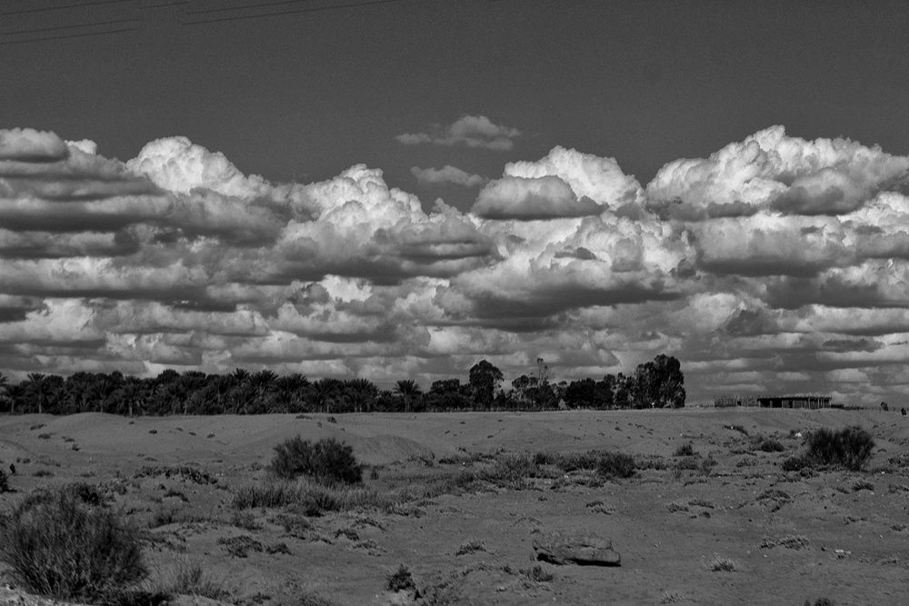 Photograph by Azzeddine Memmou