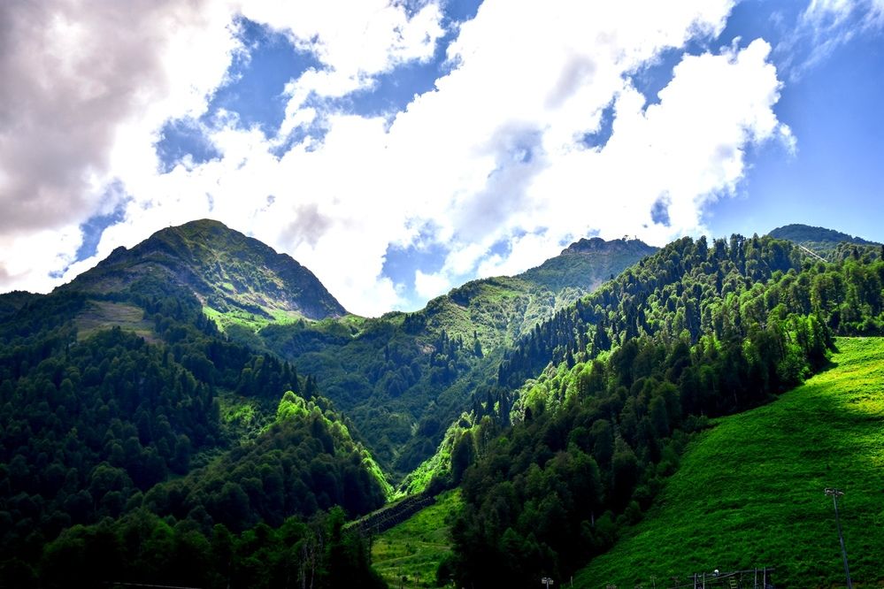 Фотография автора Еремеева Лада