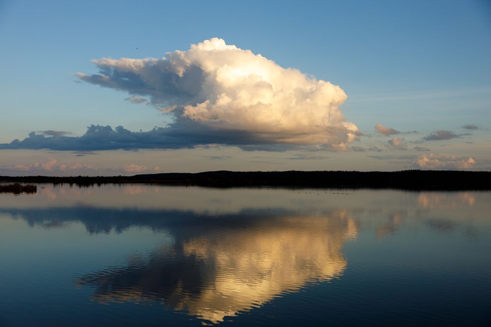 Птицо-облако