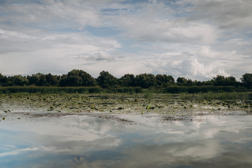 Photograph by Светлана Субботина