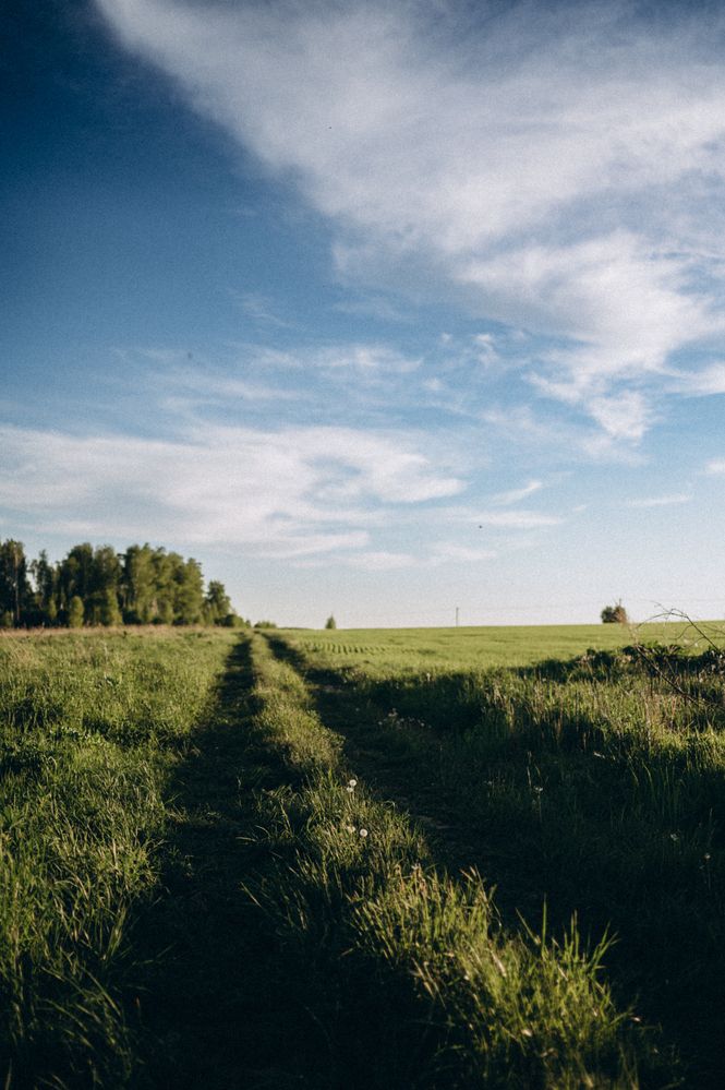 Photograph by Светлана Субботина