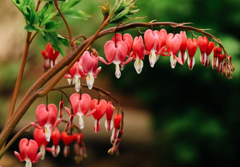 Photograph by Наталья Лобанова