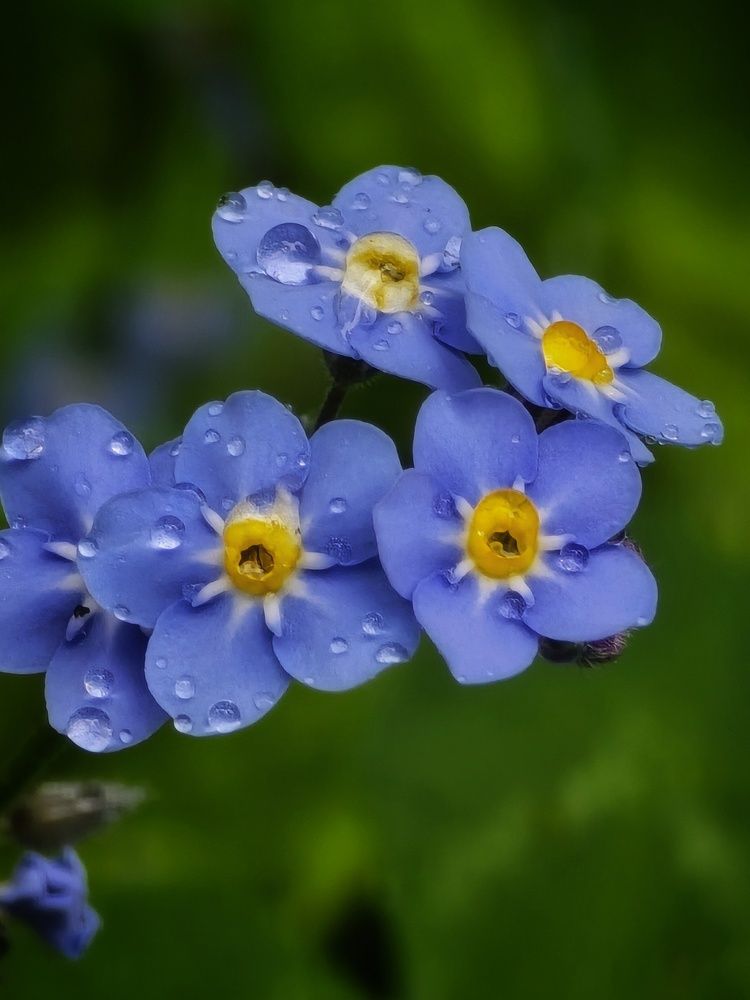 Photograph by Светлана