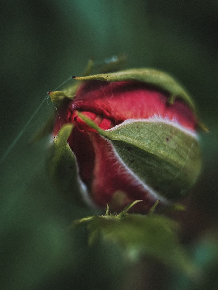 Photograph by Виктория Казакова