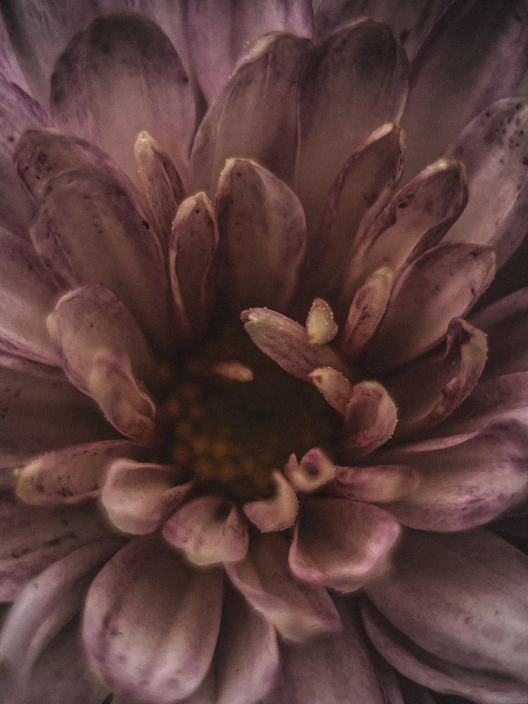 Photograph by Виктория Казакова