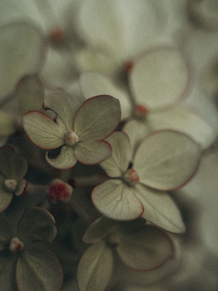 Photograph by Виктория Казакова