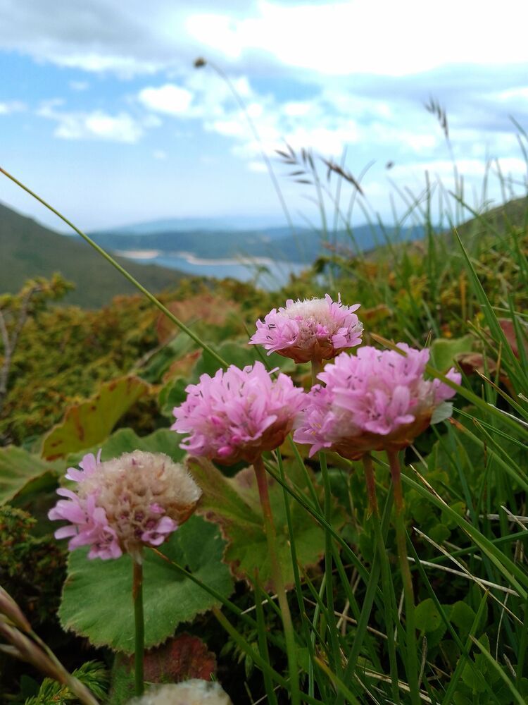 Фотография автора Liliya Slavcheva