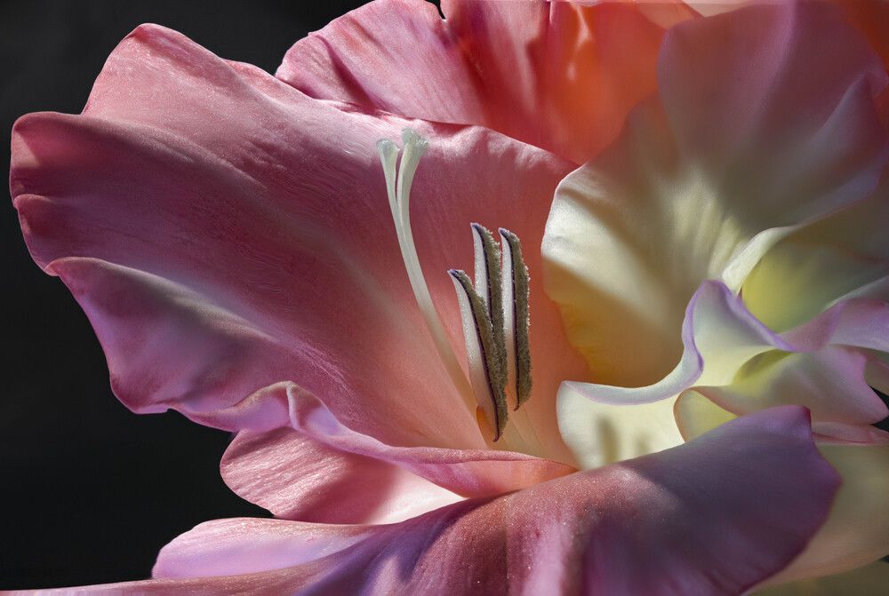 Фотография автора Валентин Черновол