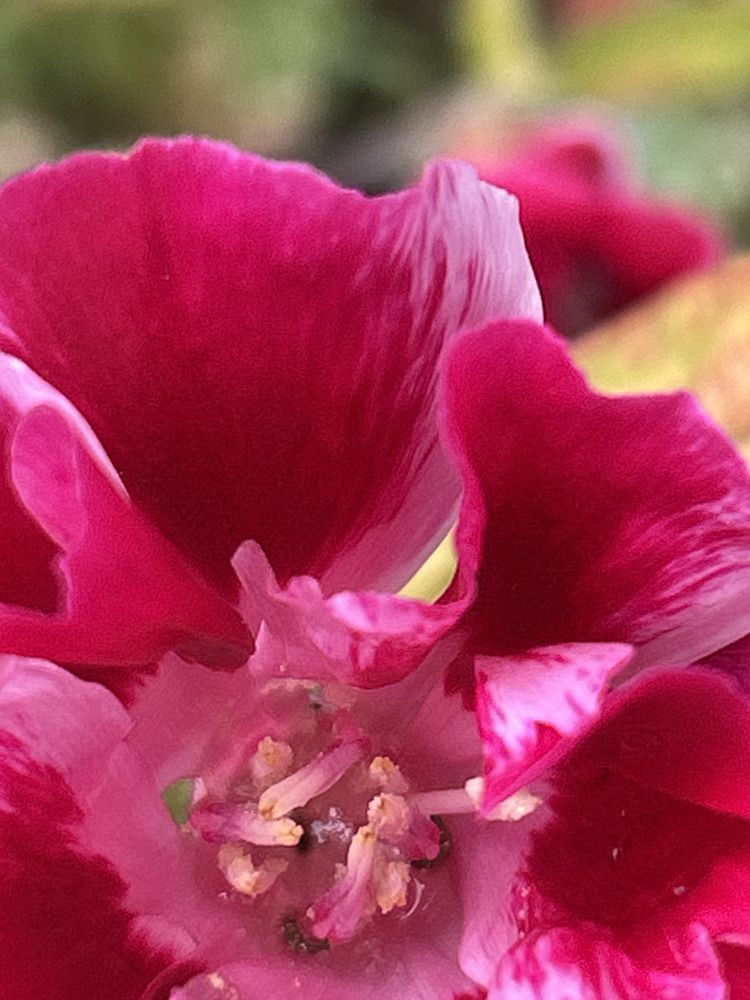 Photograph by Ольга Евтухова