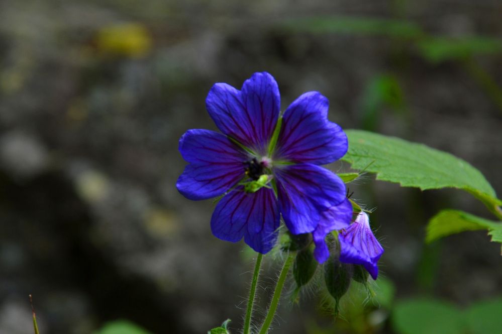 Photograph by Ольга Шевцова