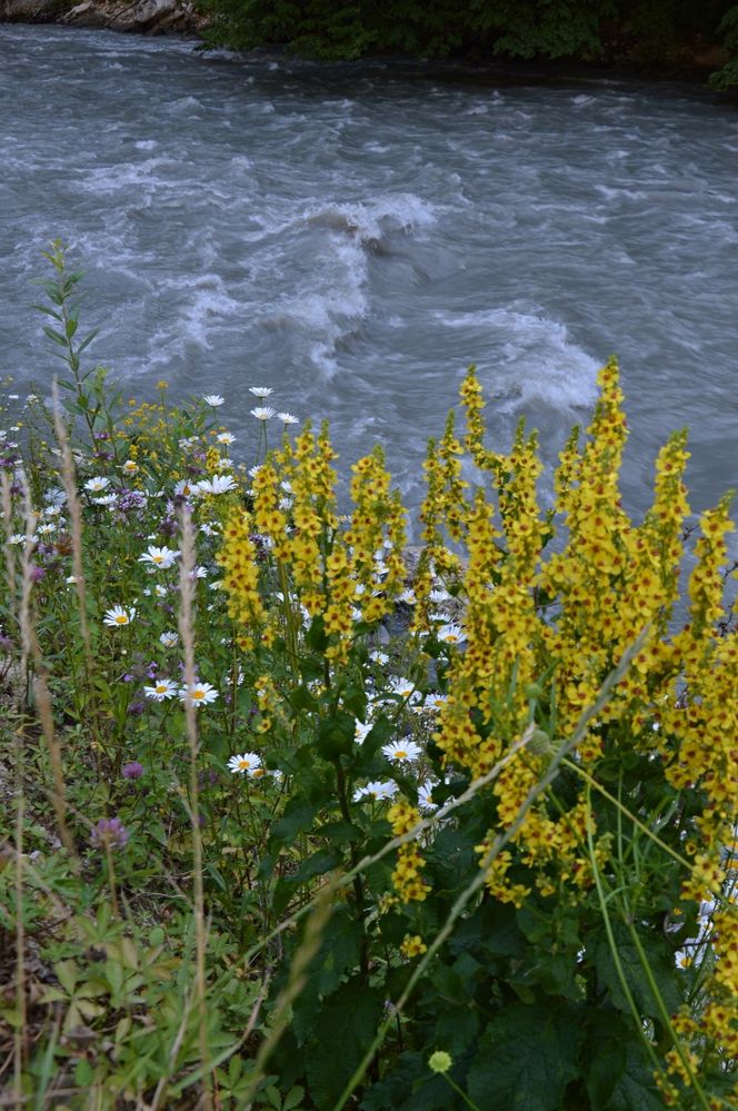 Photograph by Ольга Шевцова