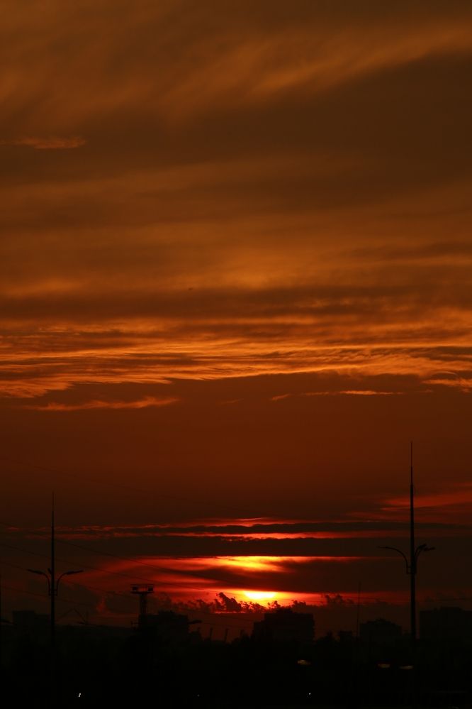 Photograph by Olga Pavich